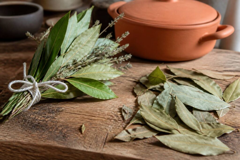 Feuilles de laurier fraîches et séchées avec un bouquet garni